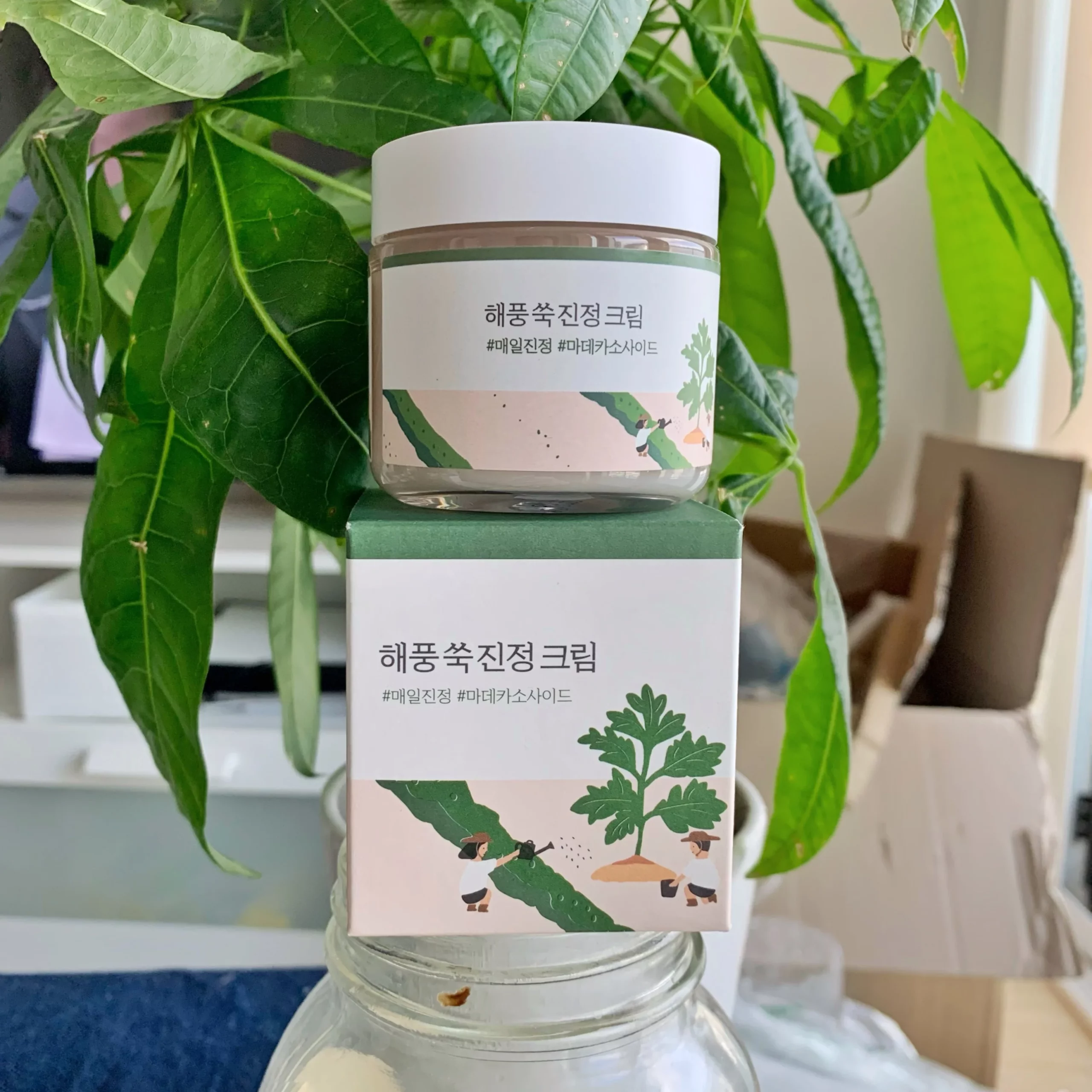 کرم آرام‌ بخش ماگورت راندلب Round Lab Mugwort Calming Cream.